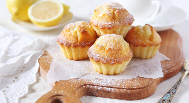 Prepariamo i muffin al limone: sono freschi, soffici e golosi!