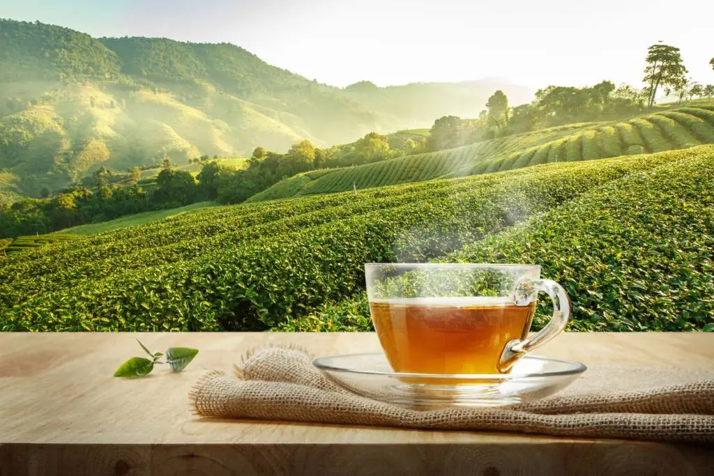 Tazza di tè