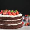 pan di spagna al cioccolato