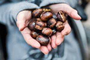 castagne al microonde