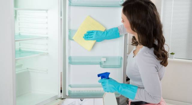 Come pulire il frigo e le guarnizioni: consigli pratici per una cucina splendente!