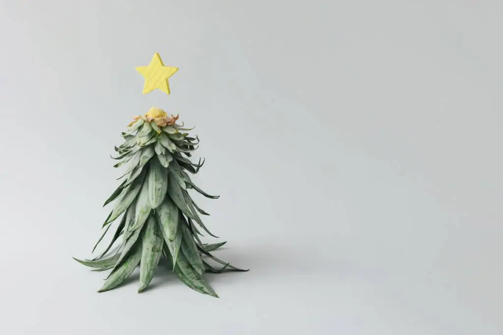 decorazioni ananas