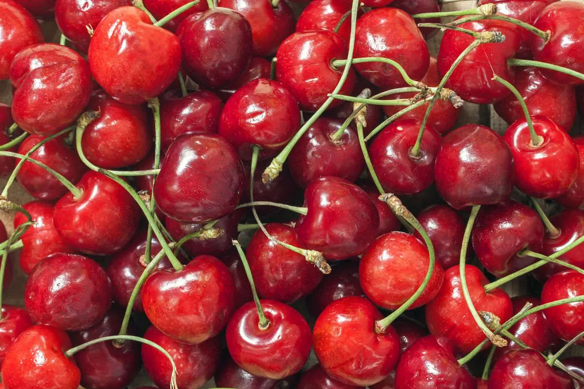 migliori varietà frutta Ciliegie ferrovia