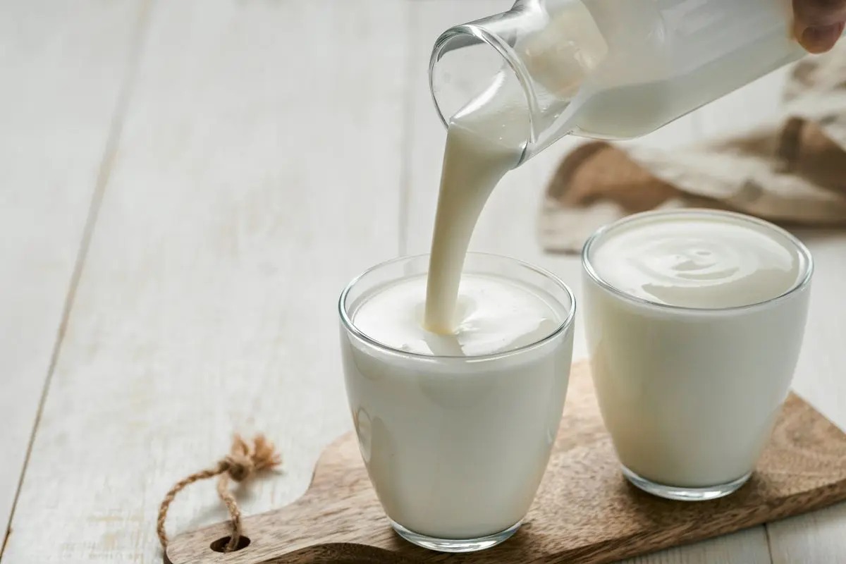 Kefir