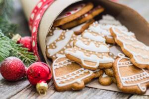 Biscotti di Natale Bimby