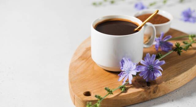Il caffè di cicoria è un&#8217;alternativa salutare!
