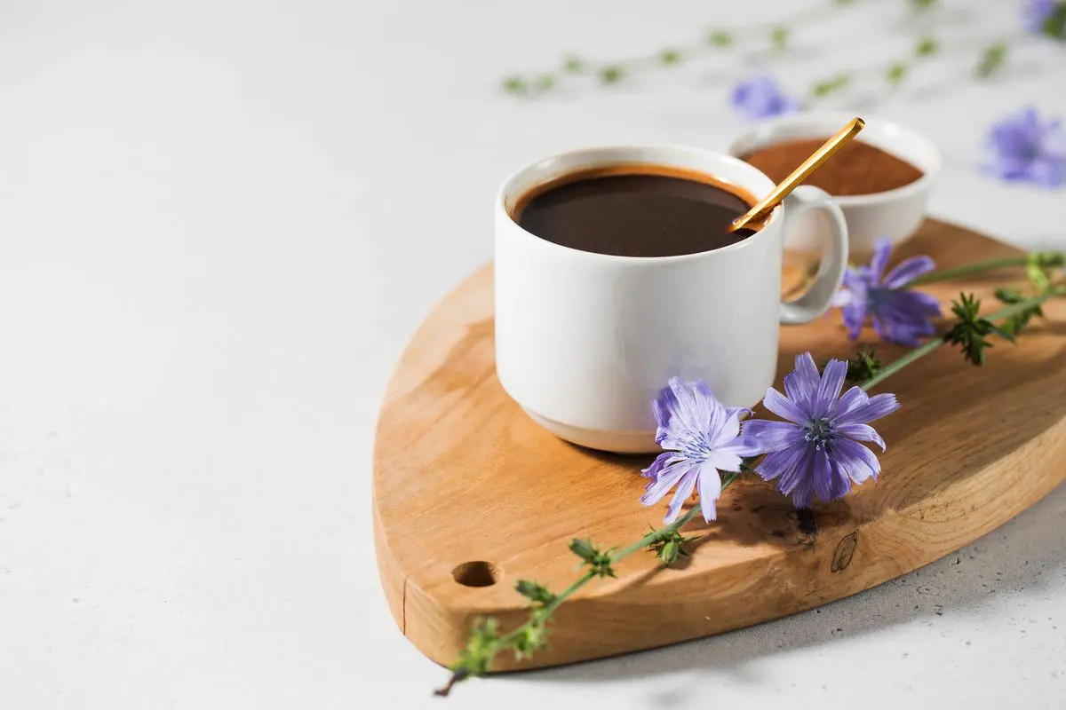Caffè di cicoria