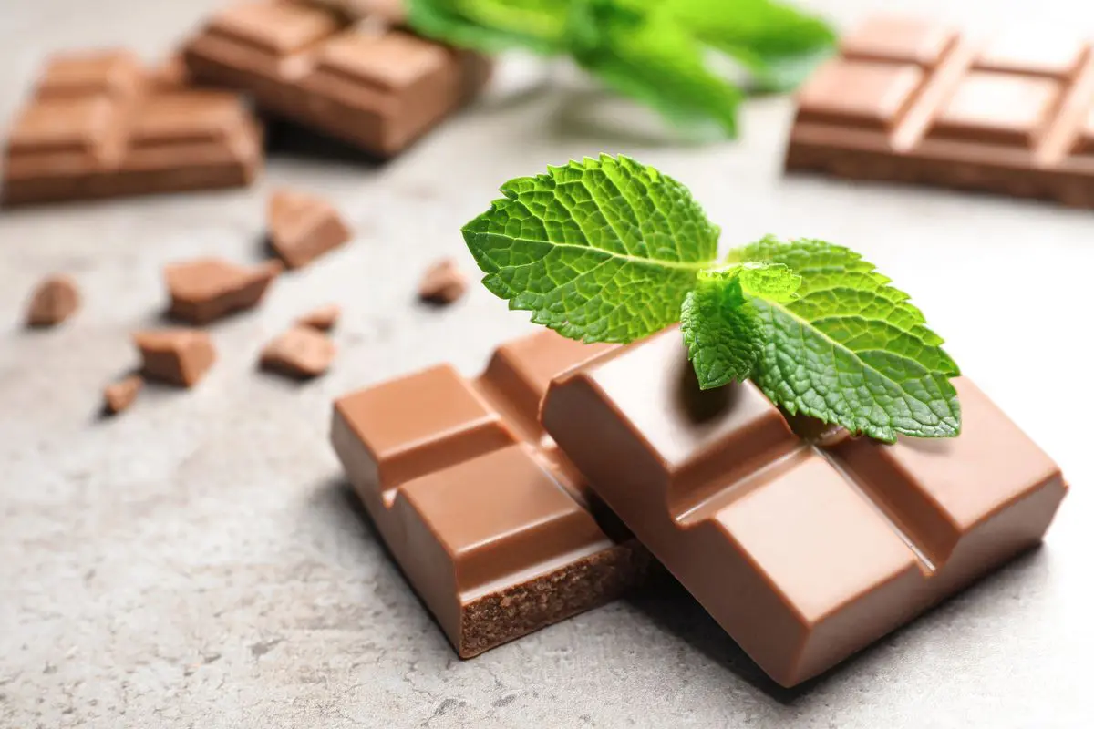 Il cioccolato è vegano