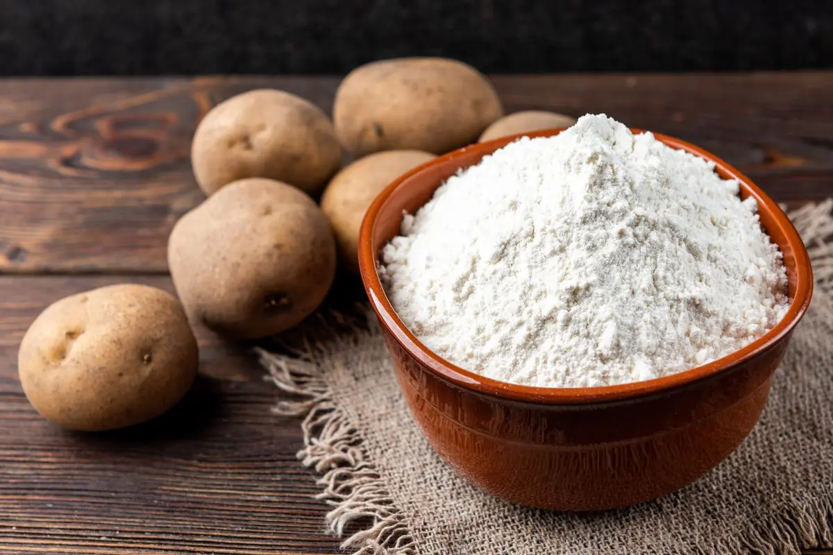 Differenza fecola di patate amido di mais