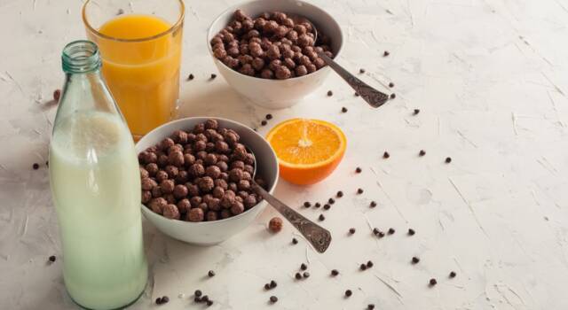 Cereali al cioccolato fatti in casa, la migliore colazione di sempre