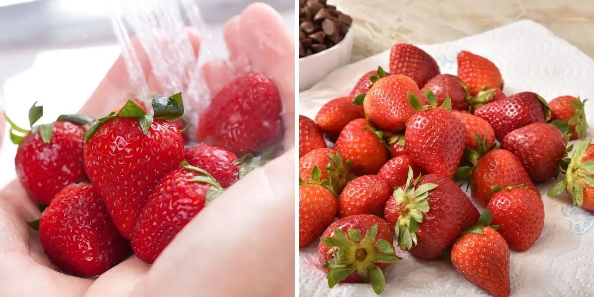 Lavare e asciugare le fragole