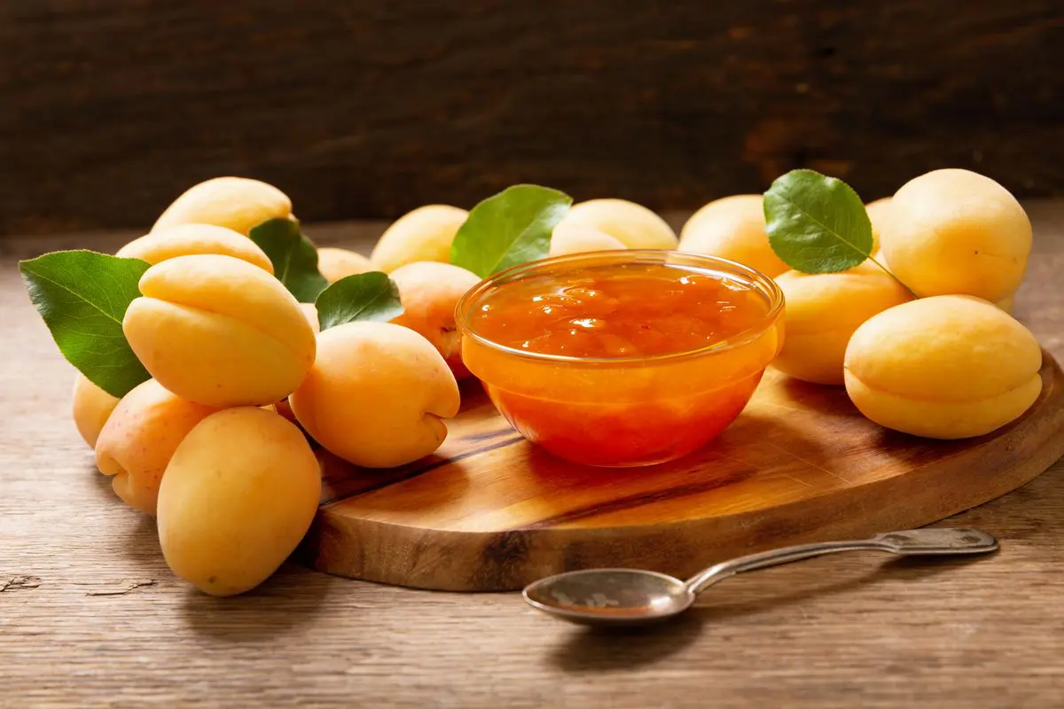 Gelatina di albicocche