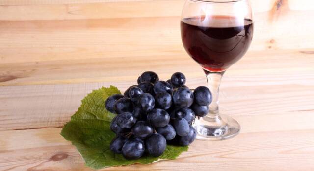 Assaggiamo il dolce e delizioso liquore di uva fragola