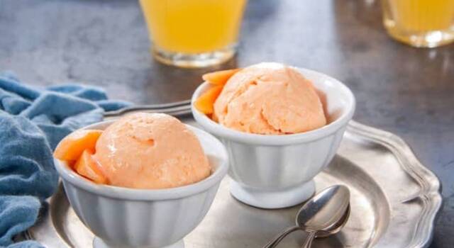 Frozen yogurt al melone con il Bimby: fresco e velocissimo da preparare