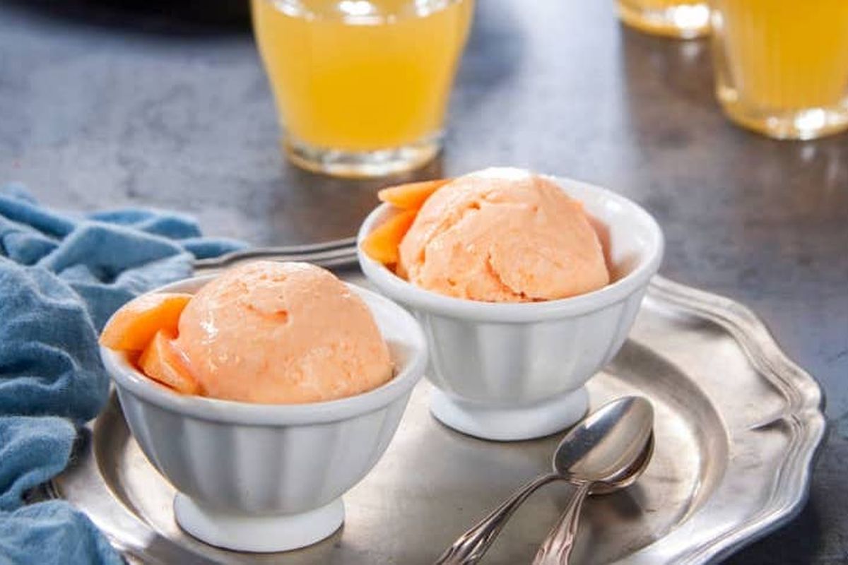 frozen yogurt melone bimby