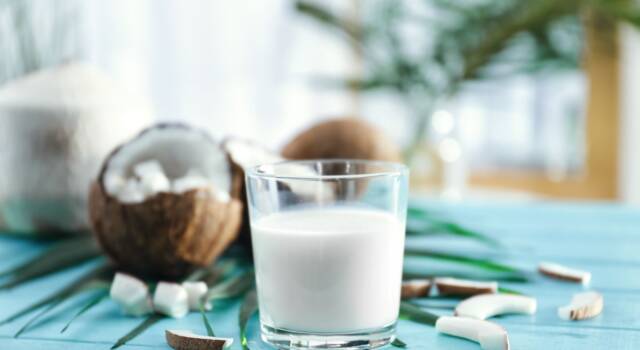 Latte di cocco fatto in casa: semplice e dal sapore intenso
