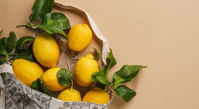 Come utilizzare le foglie del limone in cucina e sfruttare le loro proprietà