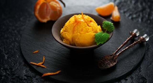 Fresco, cremoso e nutriente, il sorbetto al mandarino è il dessert che stavate aspettando!