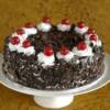 Torta Zurigo