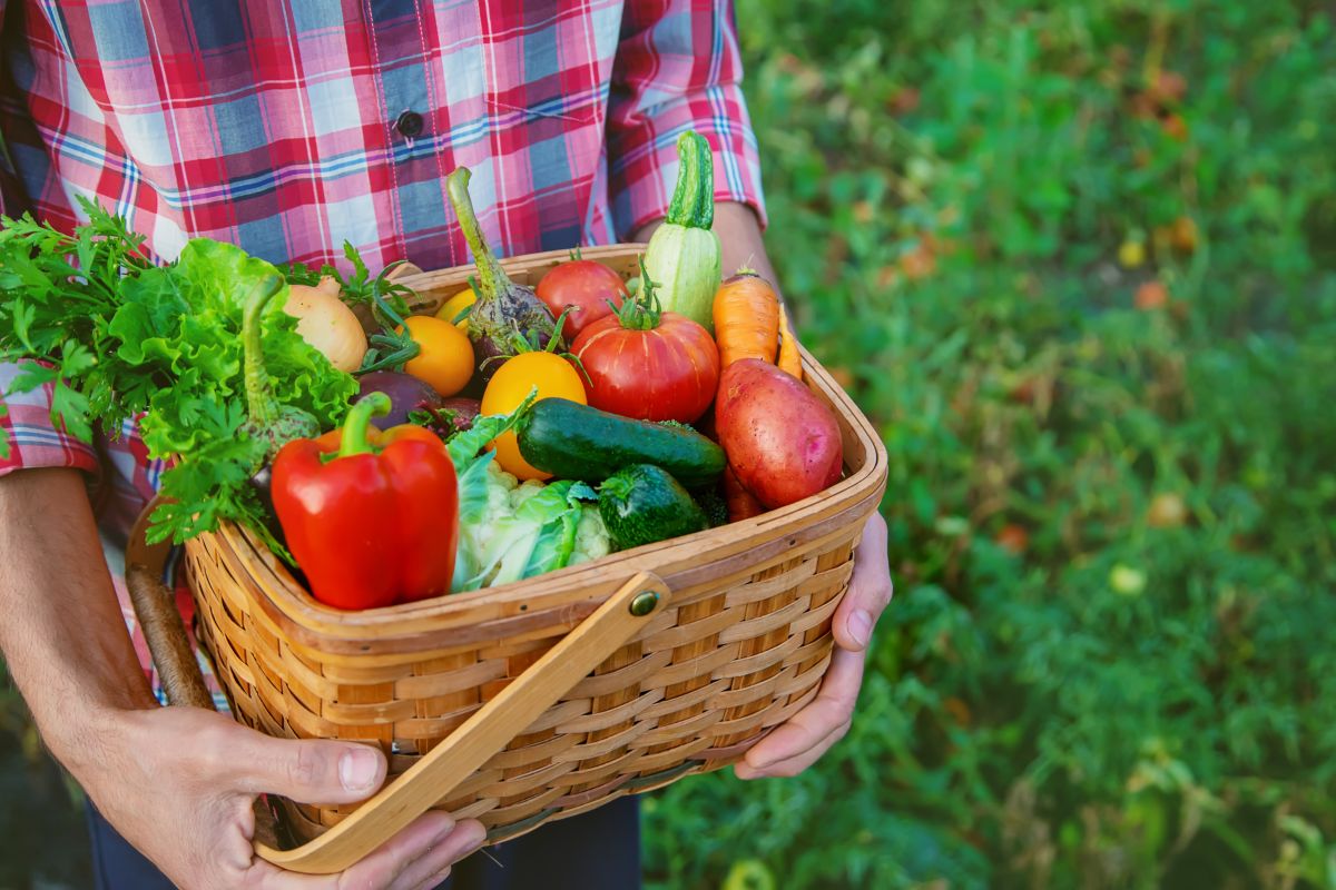 Cestino di verdure