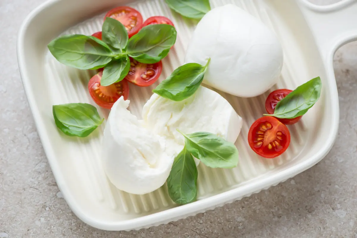 Mozzarella fresca servita con pomodorini e basilico